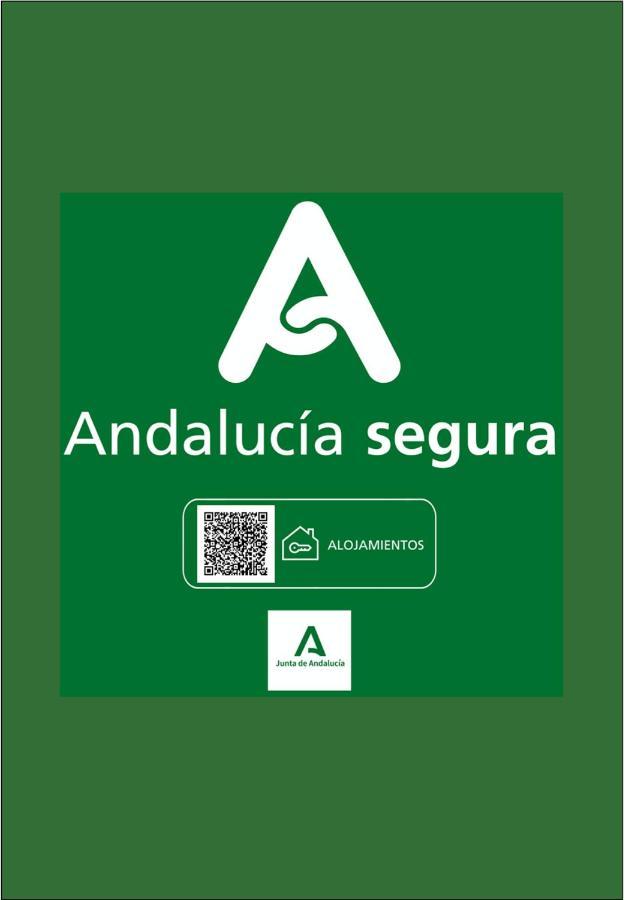 Holidays2Malaga Sebastian Souviron High Speed Wifi Екстериор снимка